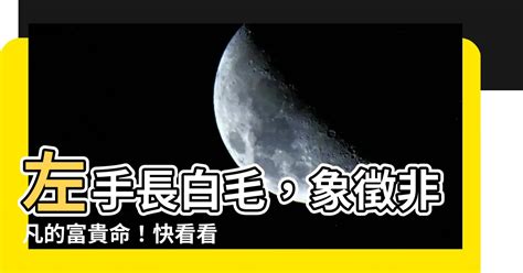 左手 長白毛|【左手 長白毛】左手長出白毛！一生富貴還是暗藏玄機？